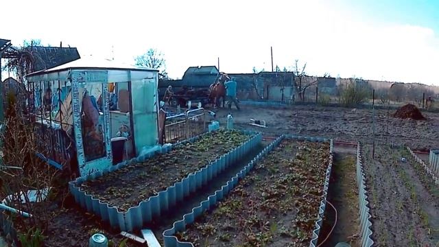 ЦЕННОСТЬ КОНСКОГО НАВОЗА ДЛЯ ОГОРОДА. САЖАЕМ КАРТОШКУ