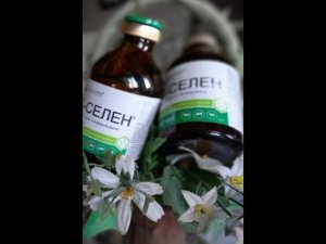 Не отхождение последа,что делать? Профилактика,причины