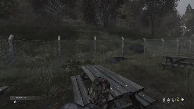 Dayz Xbox: How to Farm, How to Emote and How to entertain a strange man in a log cabin