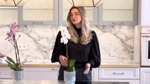 Что делать, чтобы орхидея зацвела снова? // Правила ухода за орхидеей