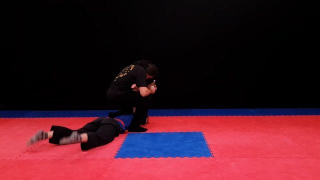 011 Hapkido Mate смотреть онлайн