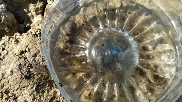 Пруд на участке 6 соток смотреть онлайн