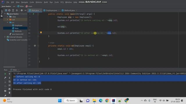 Demo - Pass by Value in Java | Reference Variables