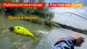 ЩУКА И ОКУНЬ!!! РЫБАЛКА В ГОРОДЕ!!!