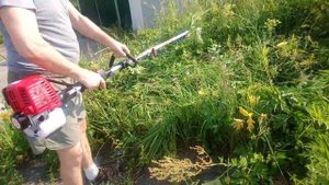 Четырехтактная бензокоса ВС34 с сегментной насадкой кусторезом НТА100 режем борщ, крапивушку, репей