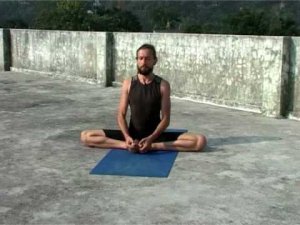 Владимир Зайцев. Хатха Йога. 2008 г.