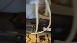 Холодильник Индезит не холодит и не выключается компрессор