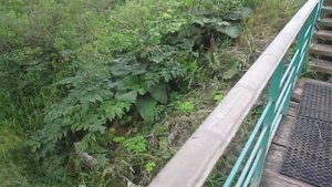 Воронежская область, село Хвощеватка. Святой источник "Семь ключей"