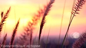 Зайдя тихо в дом Катя похолодела, услышав разговор по телефону мужа с любовницей. И она решила...