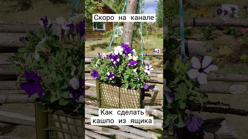 Кашпо из пластикового ящика