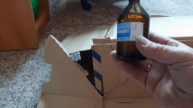Разведение перепелов от А до Я