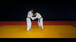 Osoto Gari Variations / Задняя подножка / Отхват