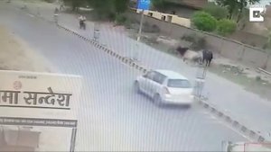 Бык сбил мотоциклиста