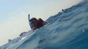 Дом дельфинов. Египет. Марса Алам. Самадай.