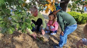 "Лесная школа" гр. Маргаритки МБДОУ 9 "Солнышко"