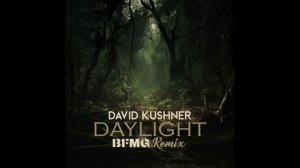 DAVID KUSHNER - DAYLIGHT REMIX BFMG