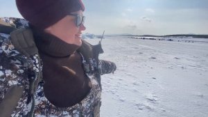 Навага, посёлок Взморье,о.Сахалин//Navaga, Vzmorye village, Sakhalin Island