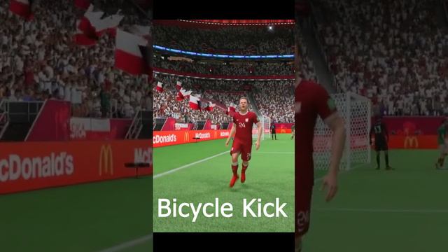 Bicycle_Kick_Poland