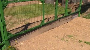 Новые увеличенные ворота забор из 3д панелей.