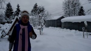 Работы в саду и огороде в январе! Как защитить растения, что делать со снегом, подзимние посевы