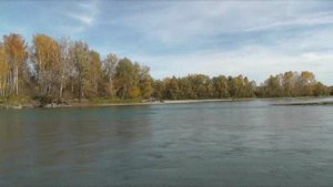 Катунь осенняя