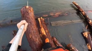 POV: Canadian Log Runner #1