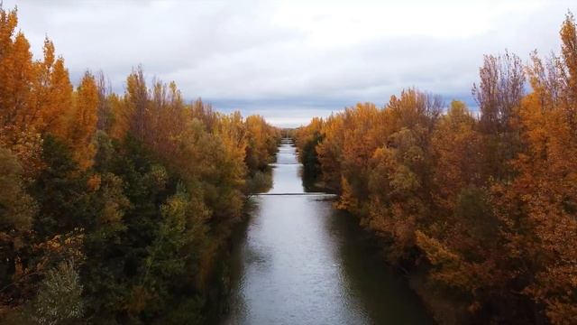 Как ловить осенью МНОГО РЫБЫ на кастинговую сеть не нарушая зак...н смотреть онлайн