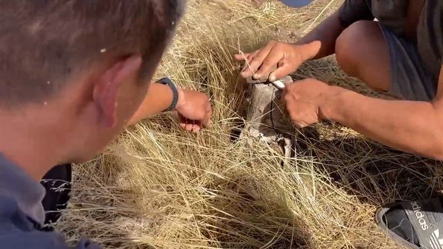 Верблюд мурундук город Элиста смотреть онлайн