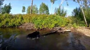 Кто придумал вольную борьбу