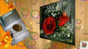 Денис Стальнов Не реви ты, не реви 2019 !!!