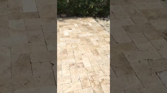 Travertine 6x12 Ivory Back Yard