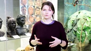Митохондриальная Ева, Адам и бутылочное горлышко! Елена Сударикова
