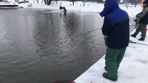 Ловля форели открытая вода РК «Фишка» Петряиха