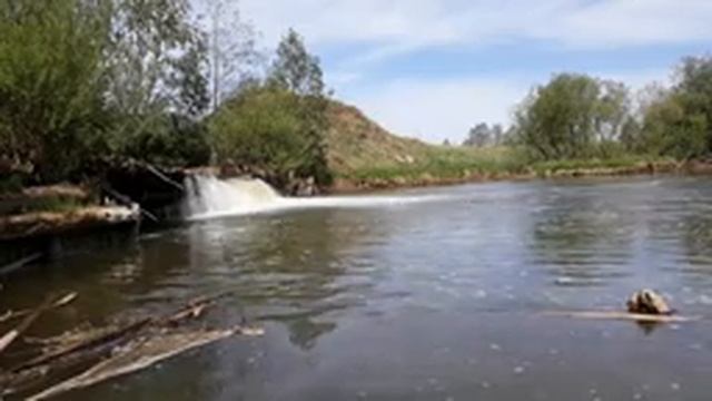 Звуки природы Пение птиц Звуки Леса Для релаксации Сна Медитации Relax смотреть онлайн