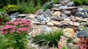 Альпийская горка своими руками