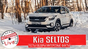 Kia Seltos 2022 модельного года.
