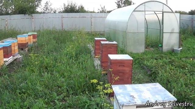 Пчеловодство в улье Удав. Пробная кочевка. Итоги.