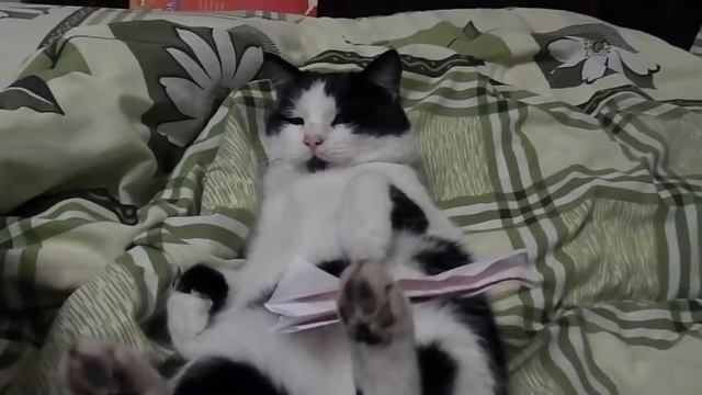 Безудержное веселье