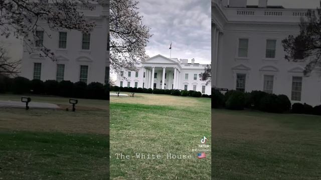 The White House - Washington DC #whitehouse #presidenthouse #washington #washingtondc #usa