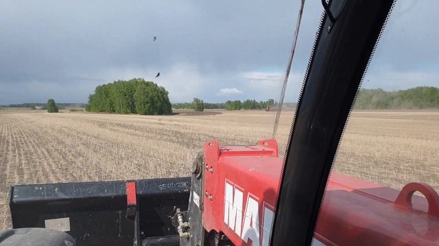 Посеяли гречиху,пересеваем рыжик смотреть онлайн