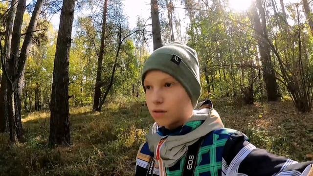 Фотоохота в Воронеже. Осенние дни.......