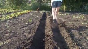 Тяпка, грабли и тачка, 3 в 1