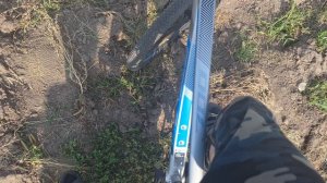 Сильный ветер в поле