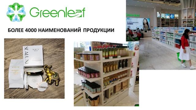 Анализ идеи бизнеса компании GREENLEAF