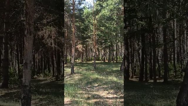 ОЗЕРО КАНДРЫ-КУЛЬ ? НАЦИОНАЛЬНЫЙ ПАРК БАШКОРТОСТАНА смотреть онлайн