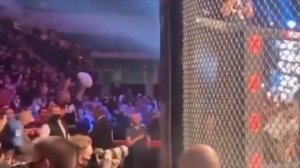 Невероятная реакция Хабиба Нурмагомедова на победу Федора Емельяненко