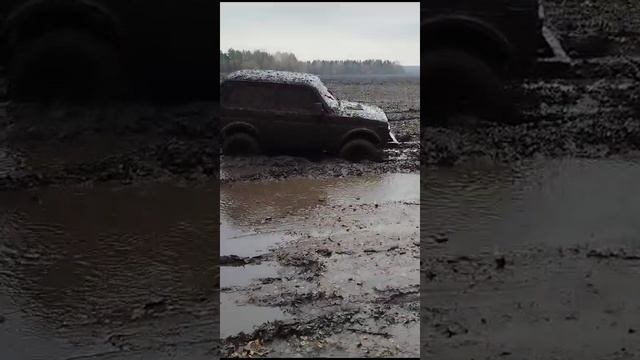 Нива на бездорожье