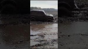 Нива на бездорожье