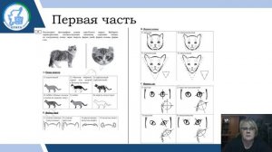 Анализ типичных ошибок ОГЭ по биологии 23 24 ЧерноваНВ