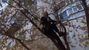 Маэстро Рыба - Анальная вода | Исполнение сидя на дереве под окнами дома